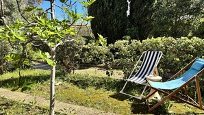 Ein Garten mit einem Stuhl und Tisch, umgeben von viel Grün und einem großen Baum.
