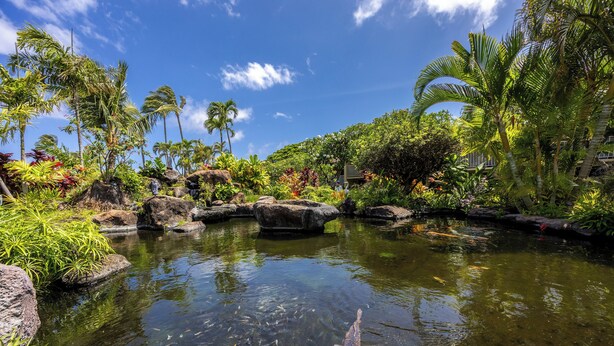 A koi pond surrounded by tropical plants and rocks. - Walk to Beach and Dining + AC - Napili Shores D224 - Updated Studio (Lahaina)