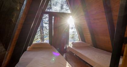 Golden Cabin 3 Gjinar