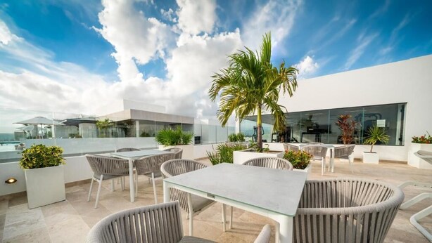 Un patio al aire libre con mobiliario moderno, que incluye sillas de mimbre y una mesa de vidrio, rodeado de plantas en macetas y una palmera.