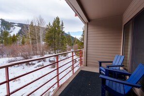 Condo, 1 Bedroom | Property grounds - 503 Ski Run 1 Bedroom Condo (Keystone)
