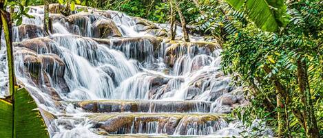 A multi-tiered waterfall surrounded by lush greenery.