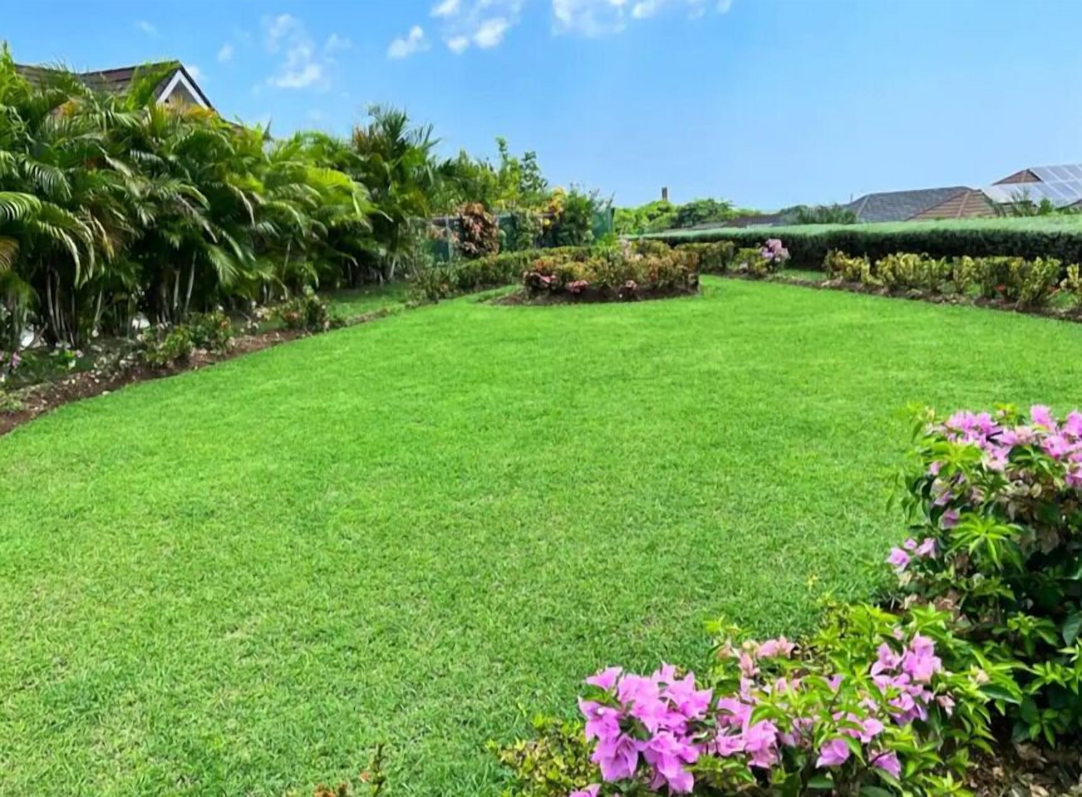 A well-maintained lawn with a variety of plants and flowers, a clear sky, and a building with a sloped roof in the background.