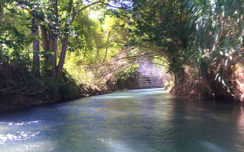 A narrow river with dense foliage on both sides, a bridge in the distance, and a clear sky.
