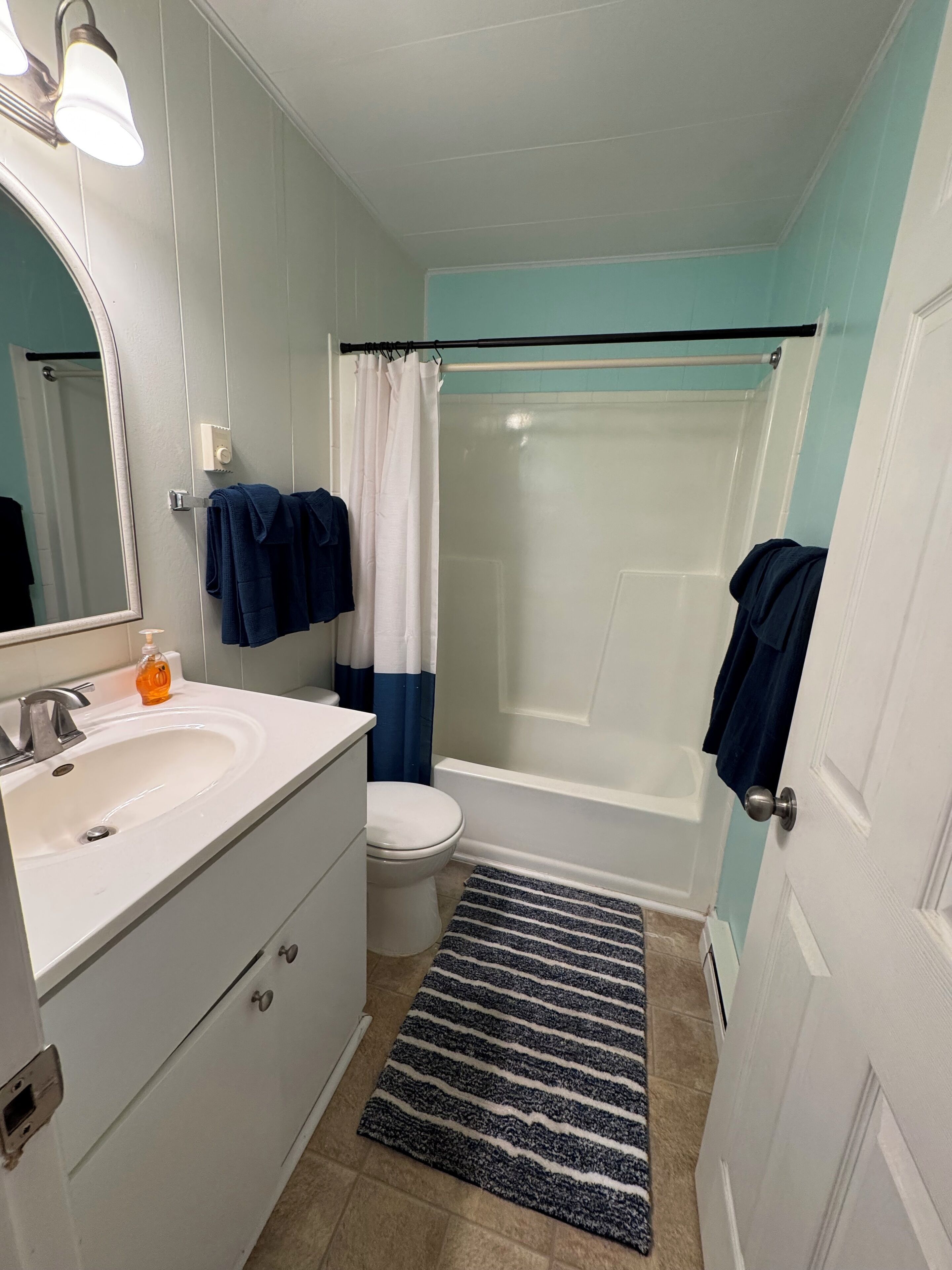 Hair dryer, towels, soap, toilet paper