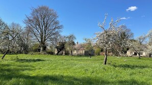 Un campo cubierto de césped con árboles y un edificio de piedra al fondo.