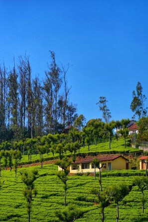Exterior - THE HILL BUNK HEIGHTS OOTY (Ooty)