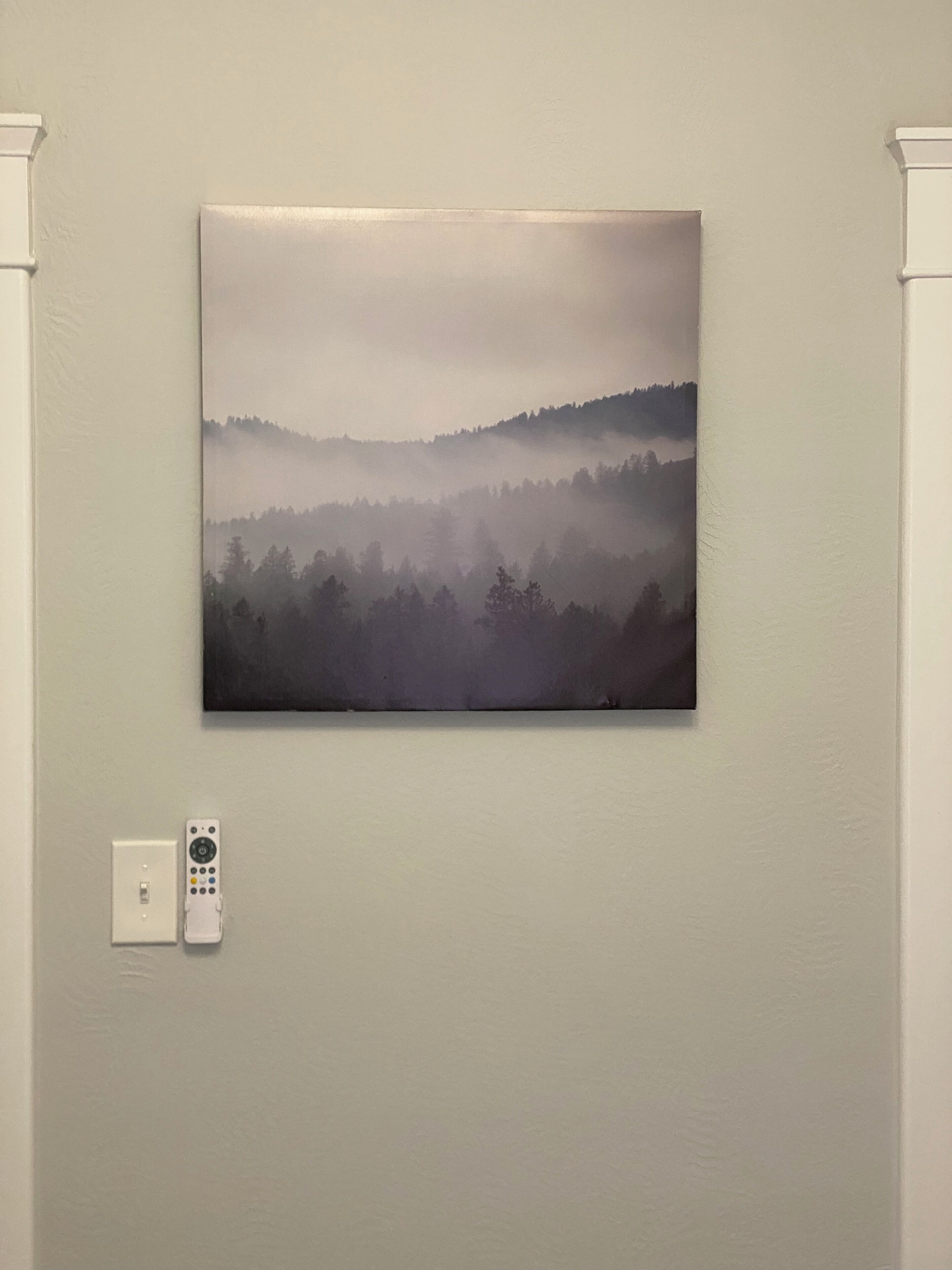 Un tableau représentant un paysage forestier embrumé, accroché au mur.