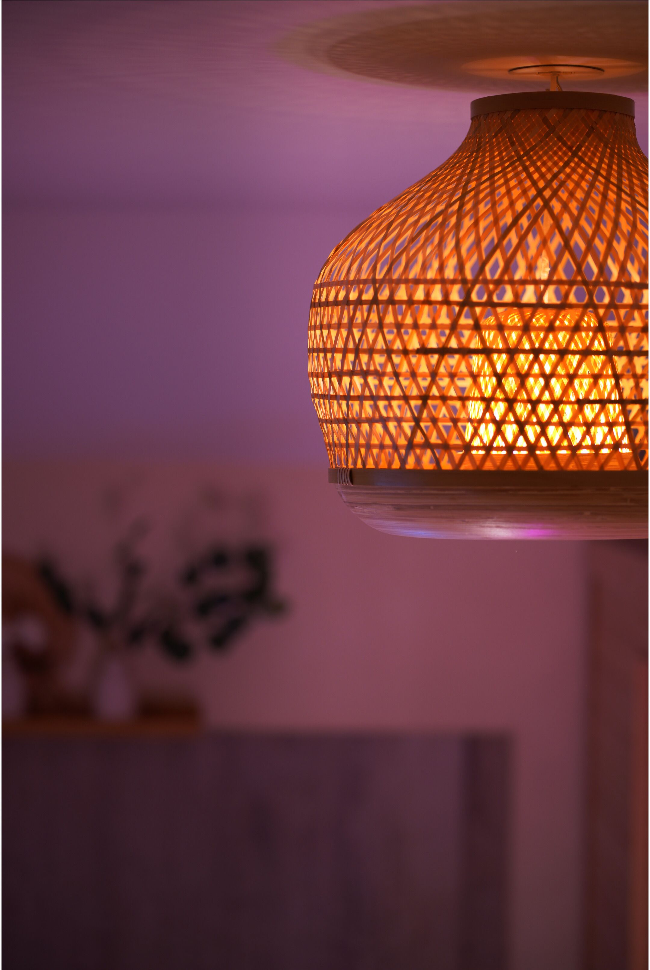 Détail de l’intérieur