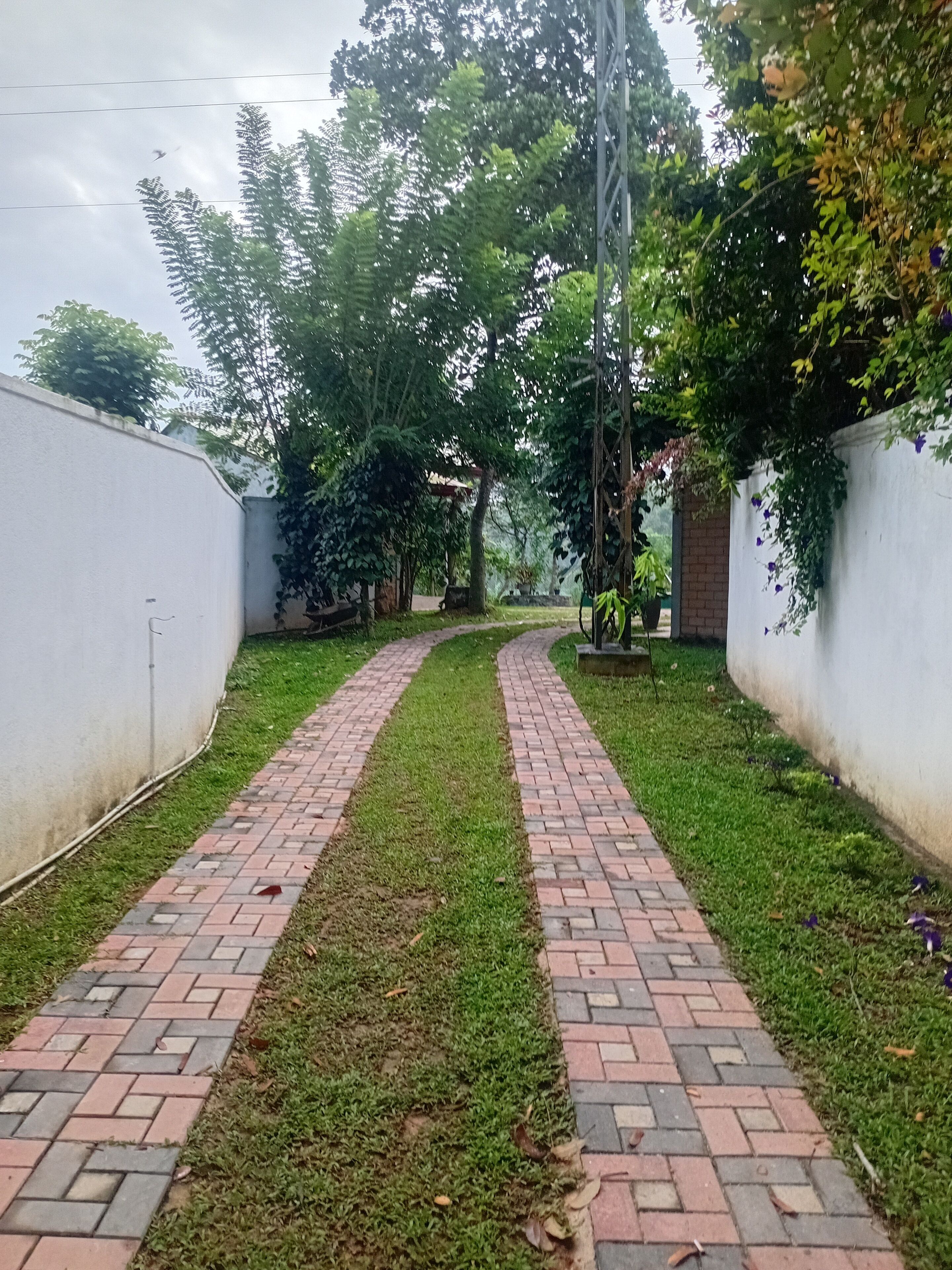 Quarto triplo, vista para o jardim | Vista para o jardim