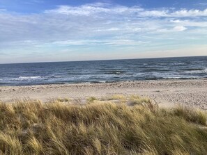 Ein Strand mit Wellen, blauem Himmel und grasbewachsenen Dünen.
