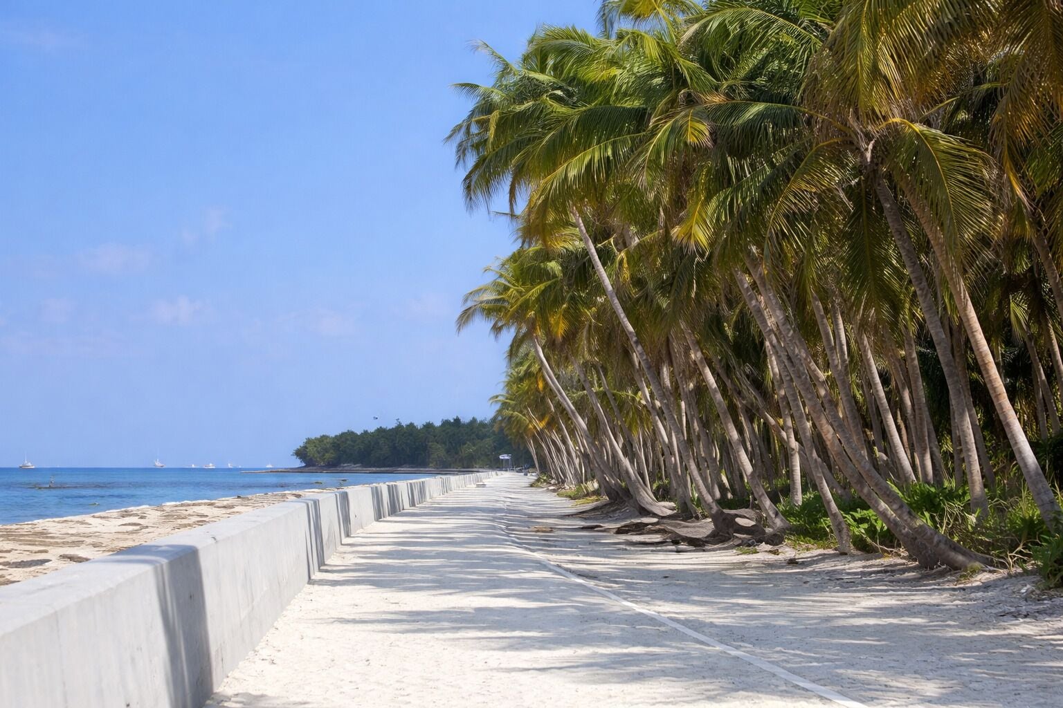 근처 해변, 백사장