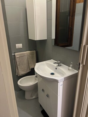 Bruser, hårtørrer, bidet, håndklæder