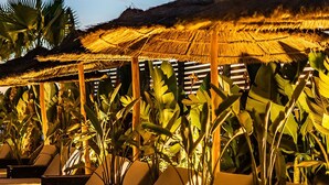 Un espace de détente aménagé sur la plage, avec des parasols en chaume et des chaises longues, le tout entouré de plantes tropicales.