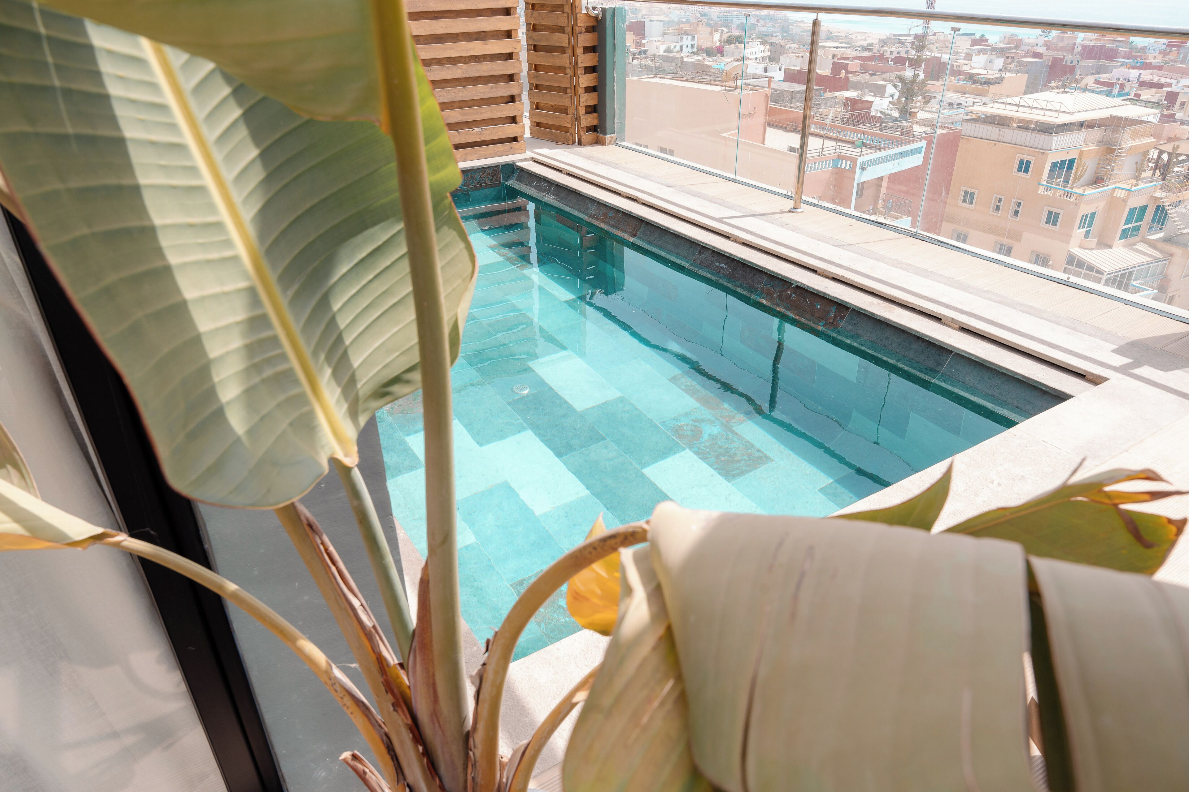 皇家客房 | Select Comfort 床、客房内保险箱、特色装修、特色家居