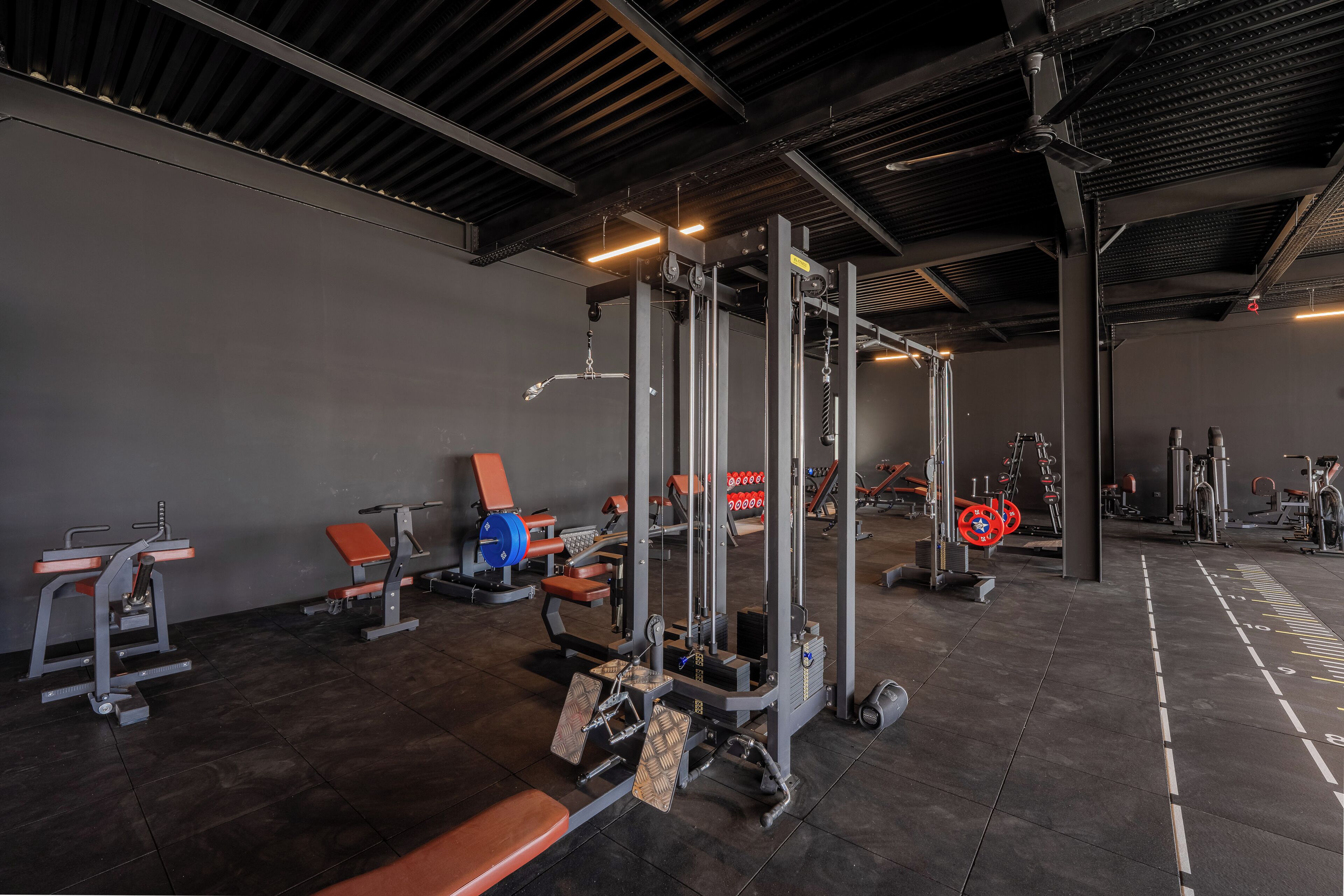 Gym