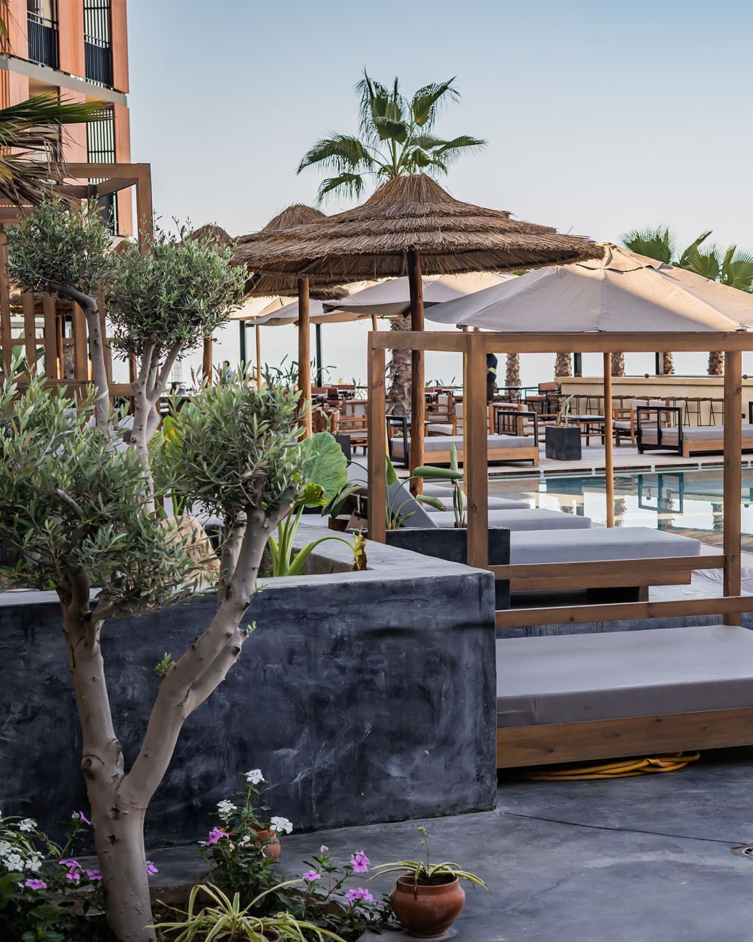 A rooftop pool area with lounge chairs, a thatched-roof gazebo, and potted plants.