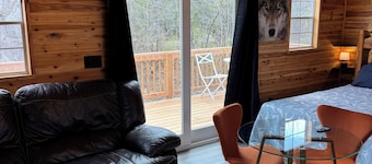 Cabin Spruce on the Baptism River