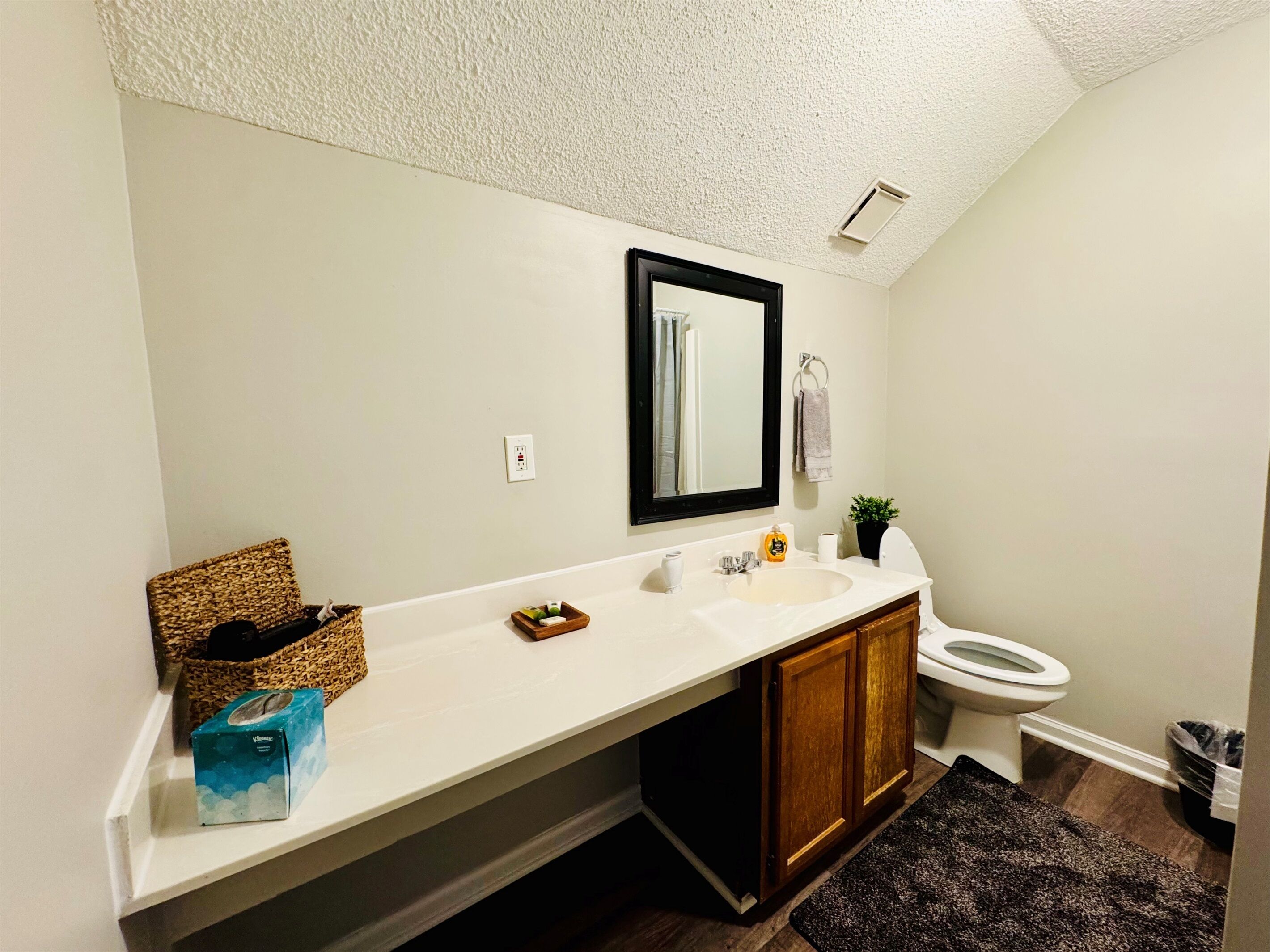 A bathroom with a white countertop, a mirror, a sink, a toilet, and a dark rug.