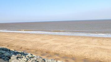 بالقرب من الشاطئ