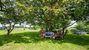 A grassy outdoor area with a tree, a table, and chairs under the tree. - Comfortable house with a swimming pool and sauna (Anielino)