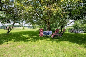 A grassy outdoor area with a tree, a table, and chairs under the tree.