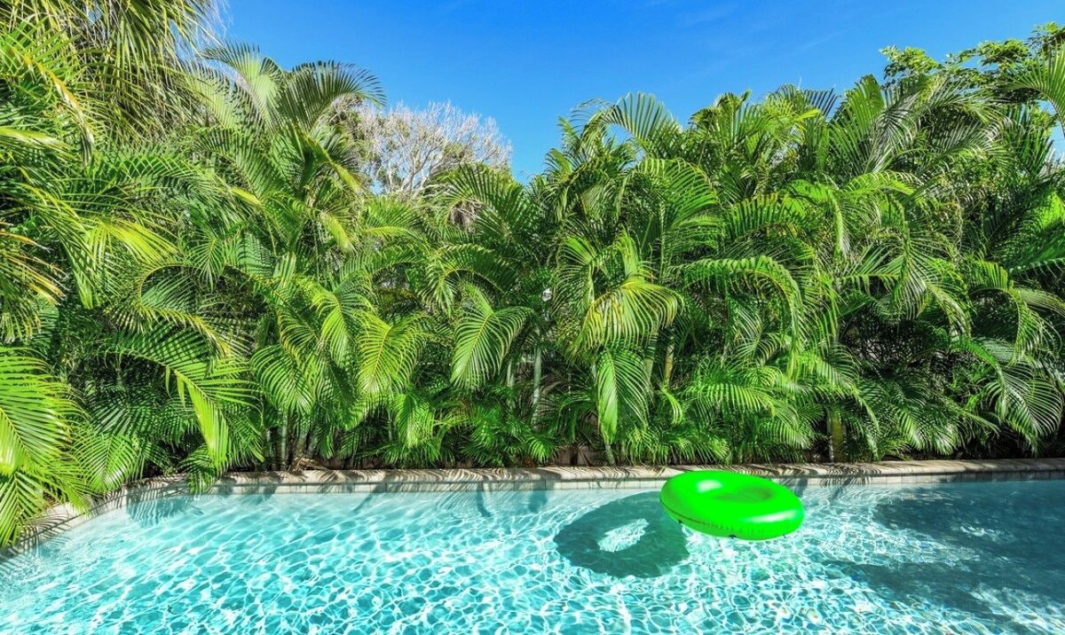 A swimming pool surrounded by lush green palm trees.