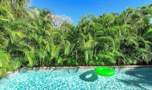 Ein Swimmingpool, umgeben von üppigen, grünen Palmen.