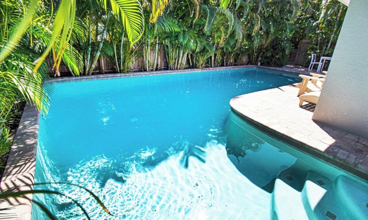 A swimming pool with a tiled edge, surrounded by lush greenery.