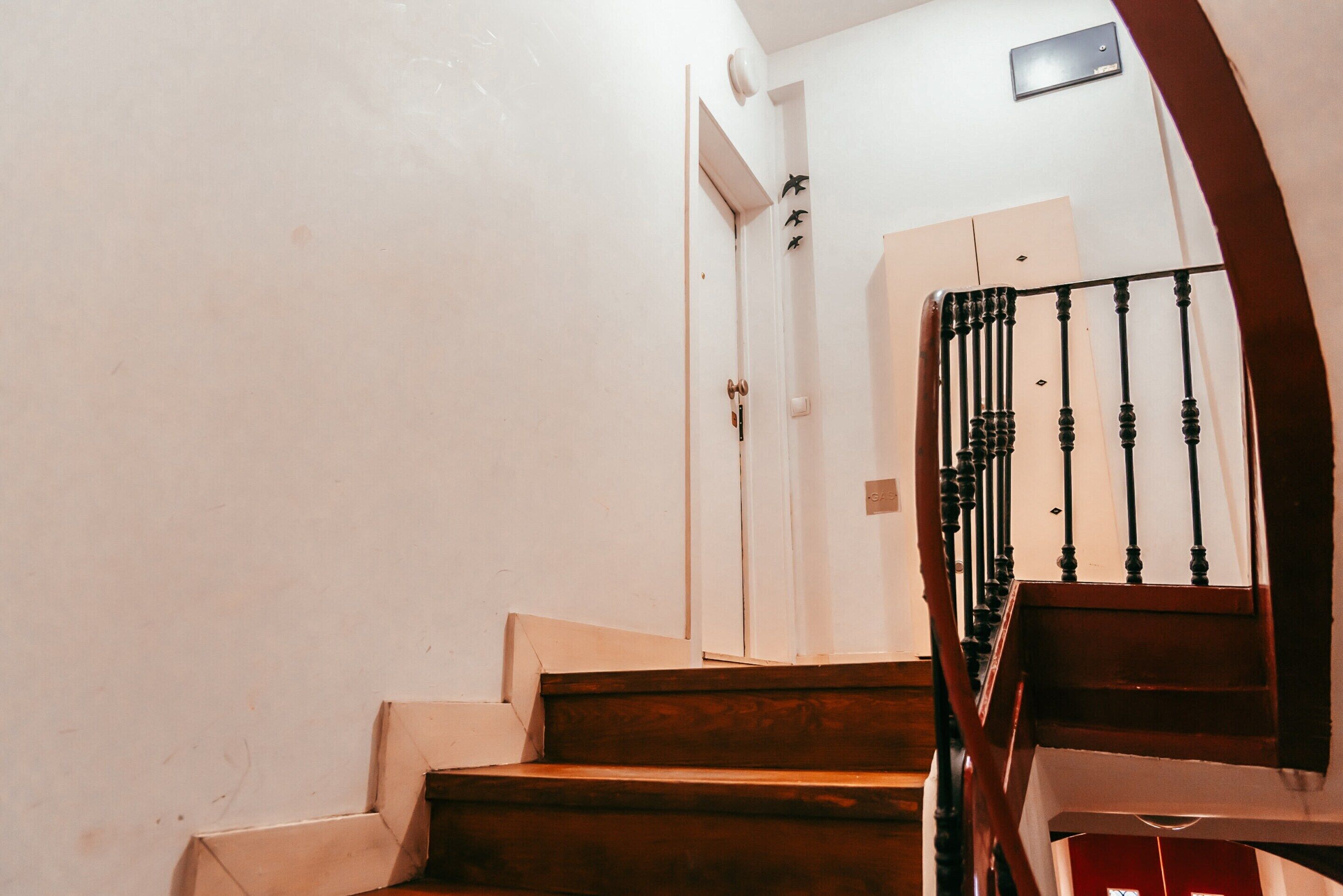 Apartment | Interior