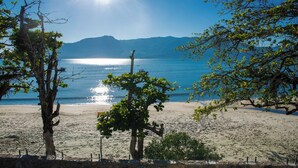 Ein Strand mit einer Steinmauer und Bäumen im Vordergrund.