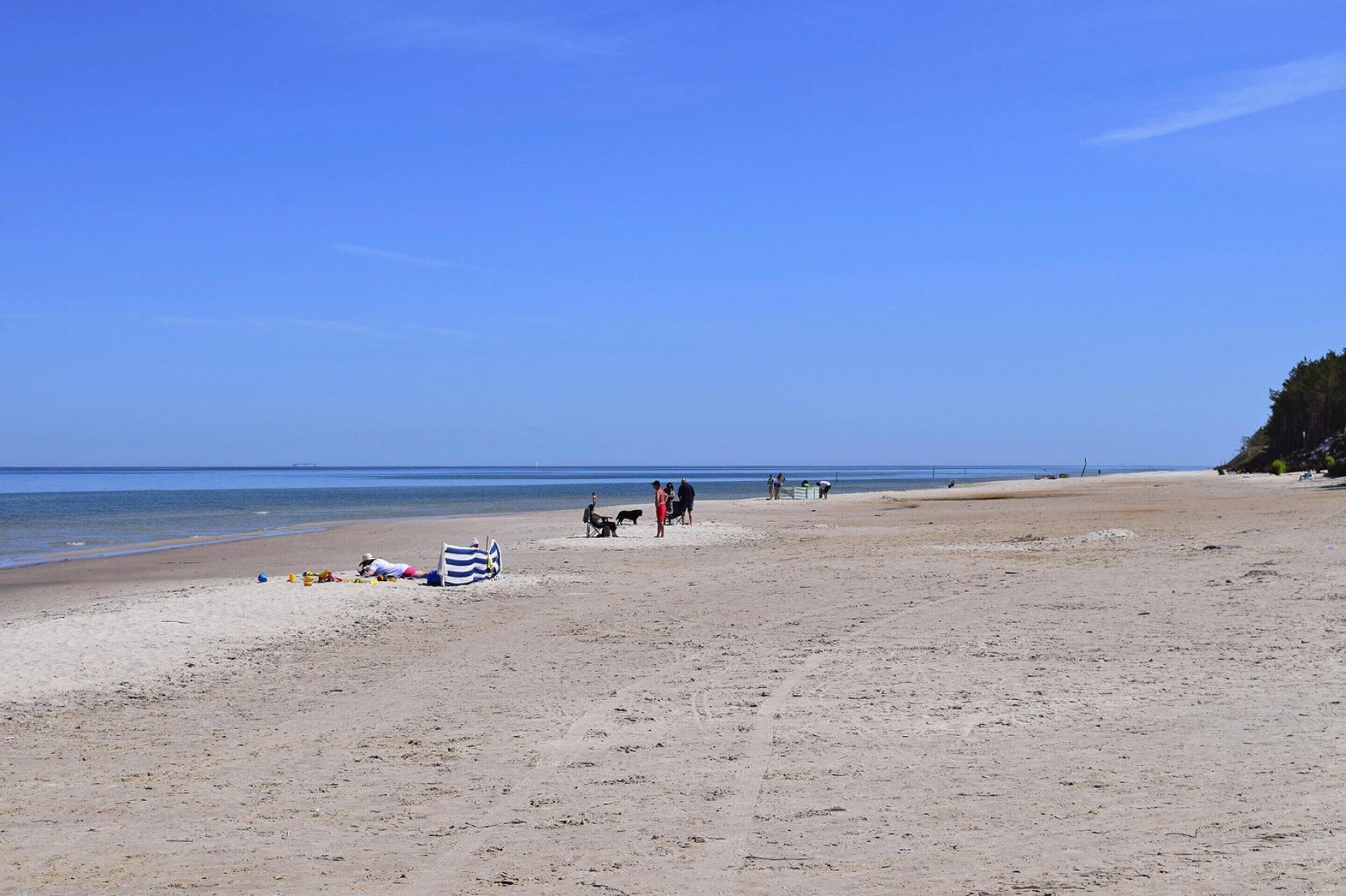 Ein Strand mit Menschen und Hunden, ein klarer Himmel und ruhiges Meer.