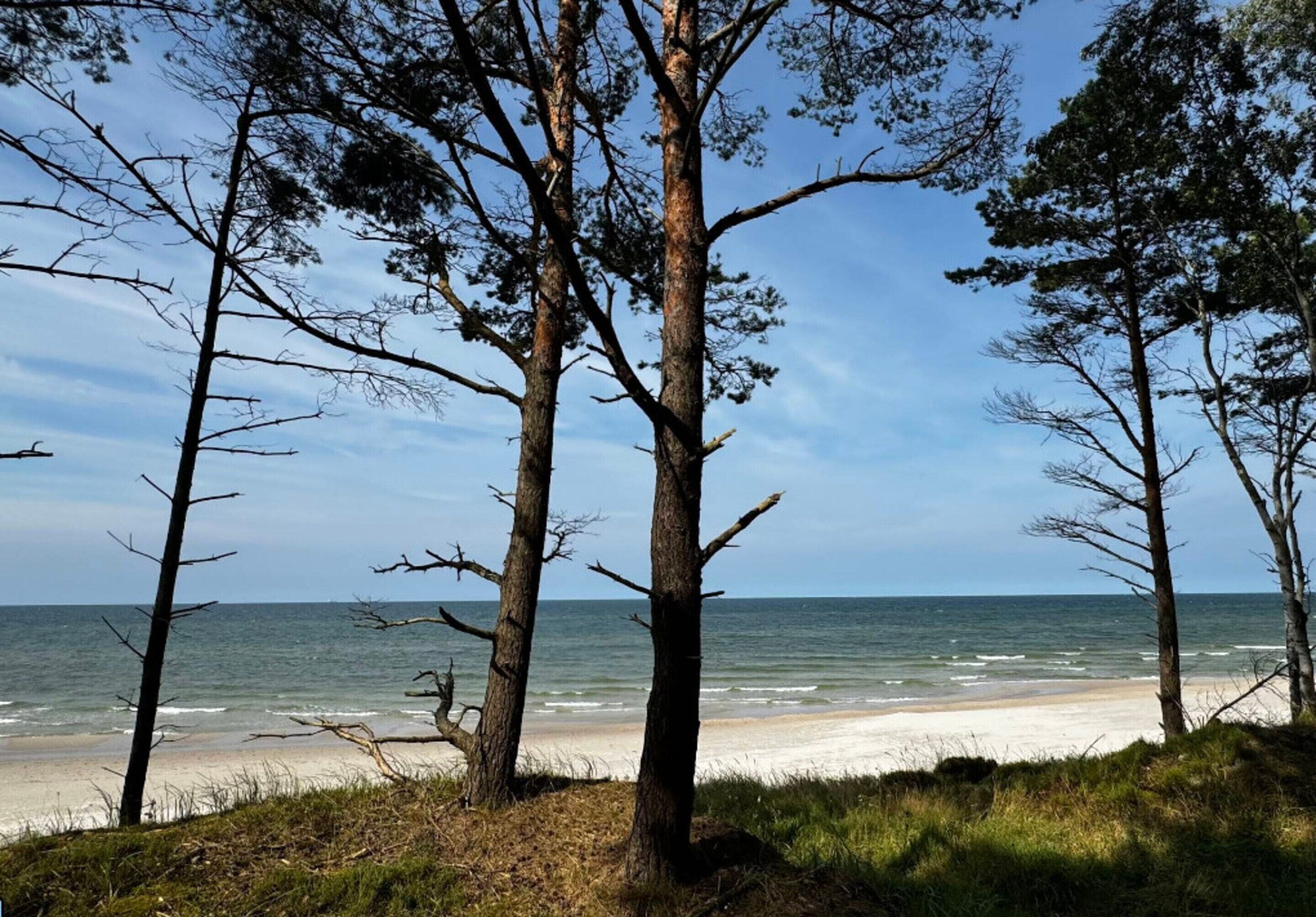 하우스 | 숙박 시설의 전망