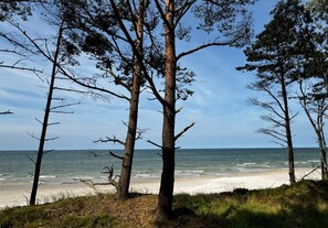 View from property - Holiday Home With a Large Private Garden (Choczewo)