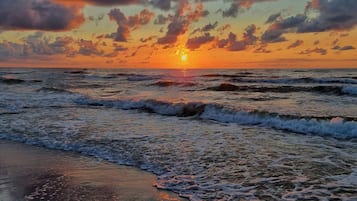 House | View from property