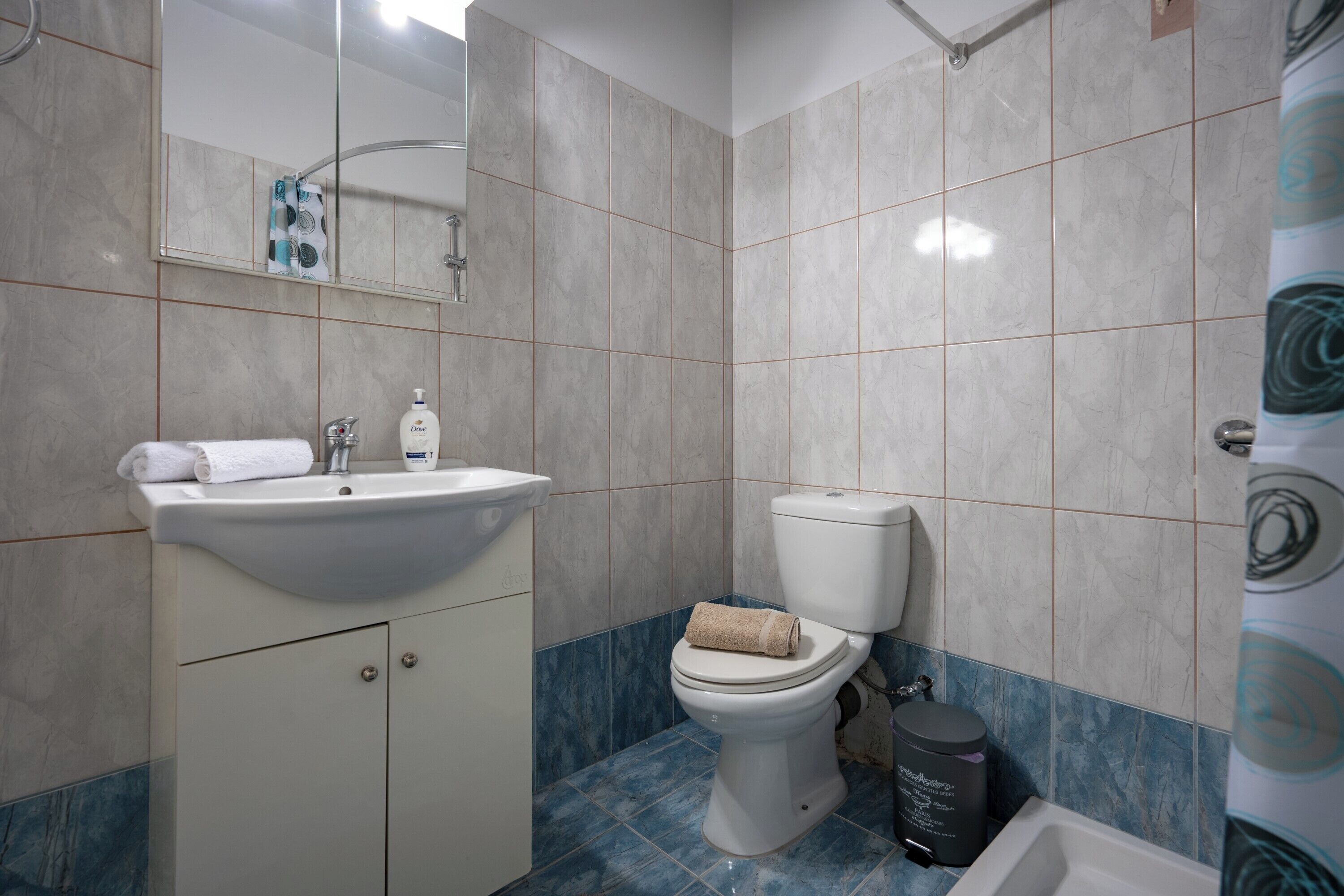 Hair dryer, towels, soap, toilet paper