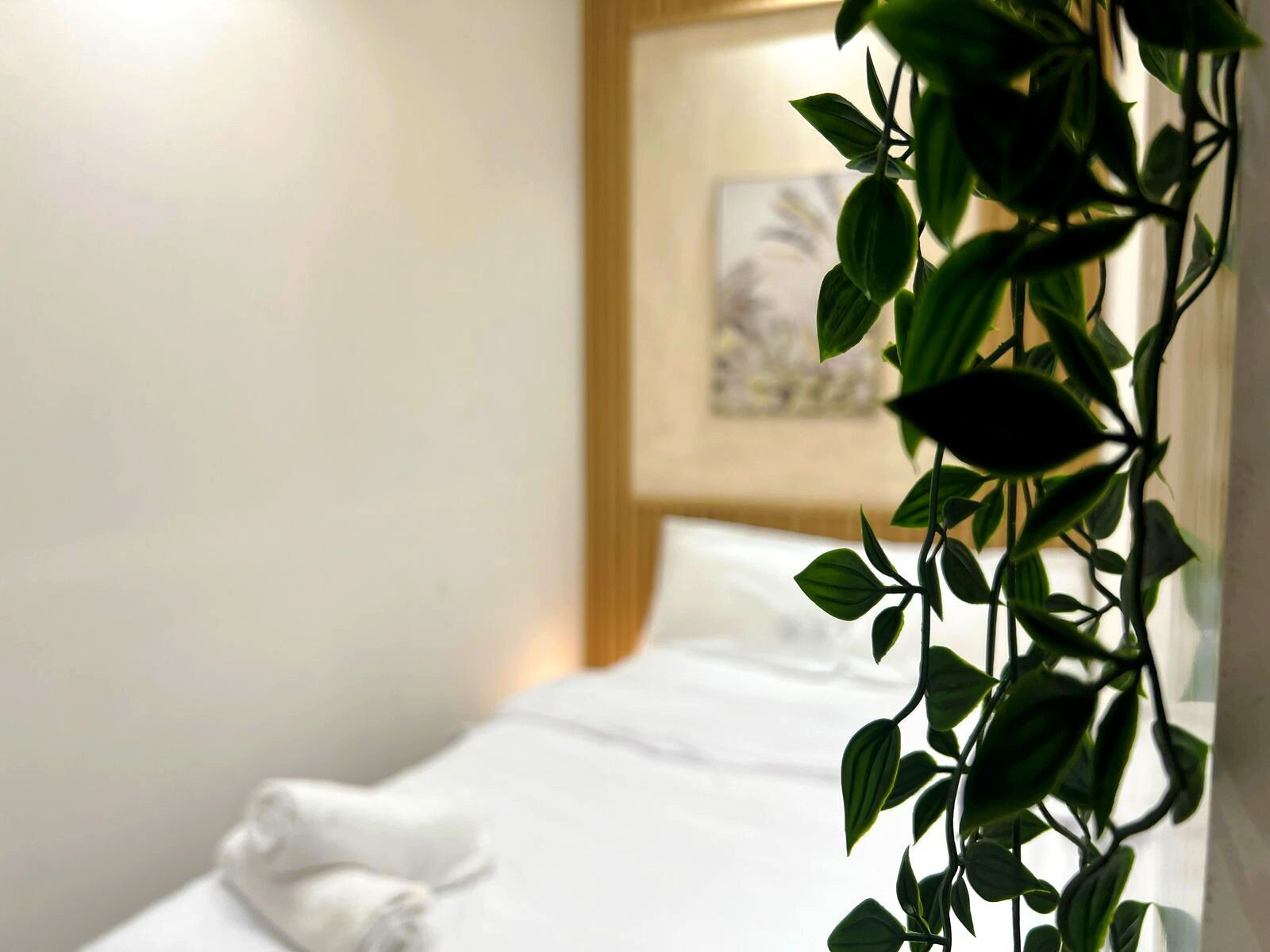 Economy Double Room, Balcony, City View | Iron/ironing board, free WiFi