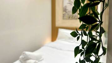 Economy Double Room, Balcony, City View | Iron/ironing board, free WiFi