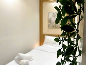 Kamar Double Ekonomi, balkon, pemandangan kota | Setrika/meja setrika dan Wi-Fi gratis
