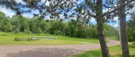 A dirt path leading to a grassy area with trees and a clear sky.