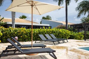 Pool - Flat, 10 Min to Beach (Sint Michiel)