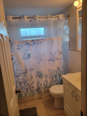 Shower, towels, soap, toilet paper - 3-bedroom house in beautiful Holiday near beaches and beautiful Tarpon Springs. (Holiday)