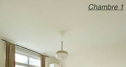 Large house near center of Lille, Lesquin airport, CHR...