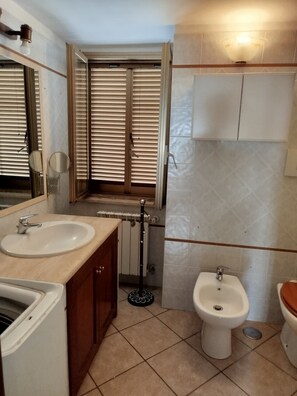 Secador de cabelo, toalhas de banho, sabonete, shampoo