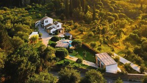 Un'ampia casa circondata da rigogliosa vegetazione e alberi, con piscina.