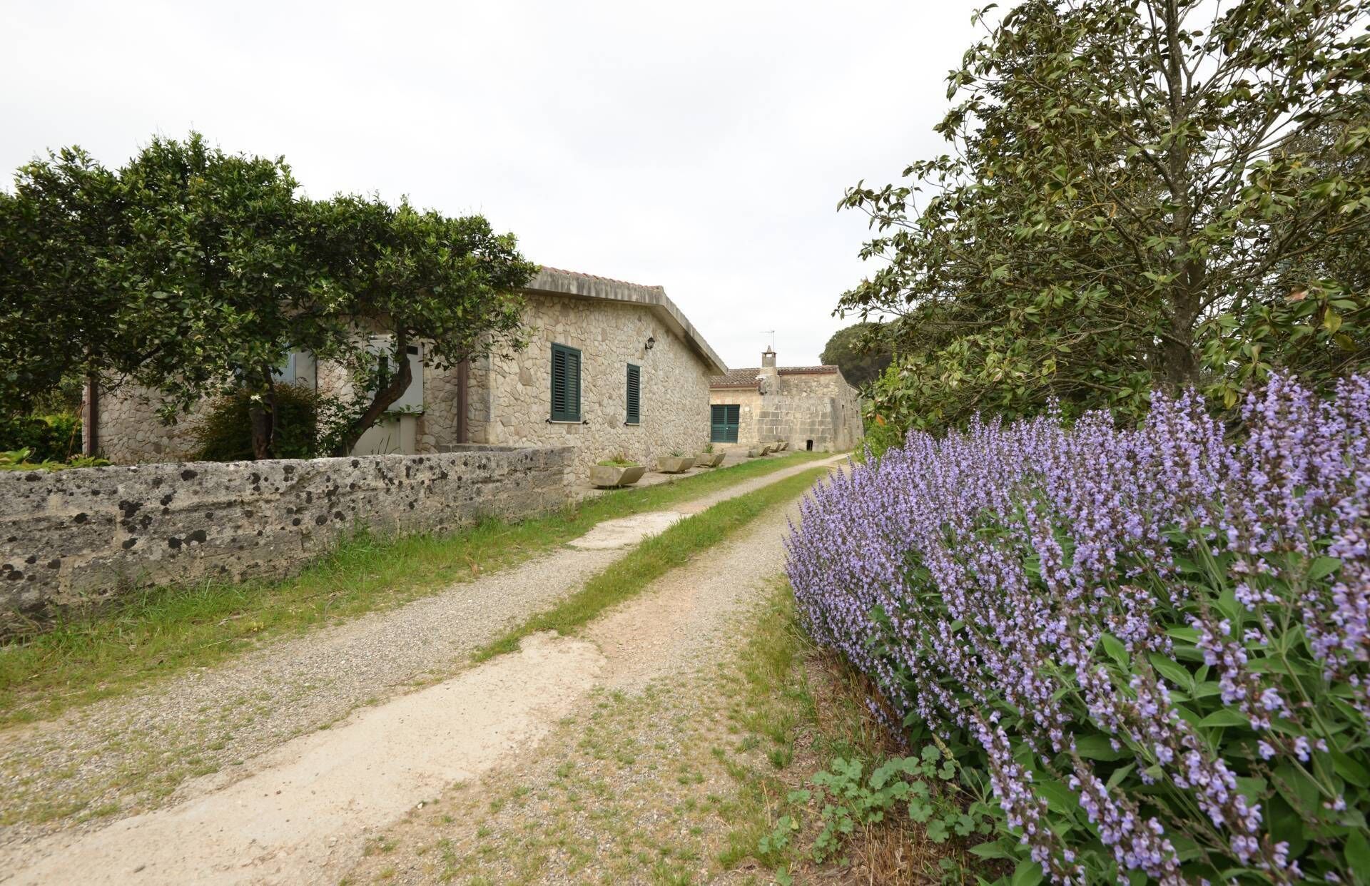 Parco della struttura