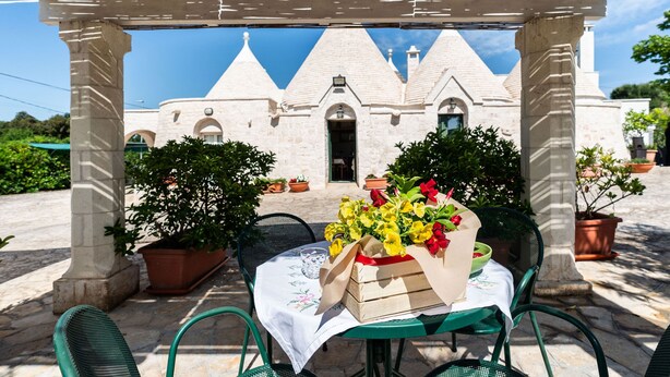 Una mesa dispuesta al aire libre con mantel blanco, una caja de flores y plantas en macetas.