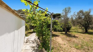 A pathway leading to a building with a pergola covered in green vines. - Casina Gigina by BarbarHouse (Torre Specchia Ruggeri)