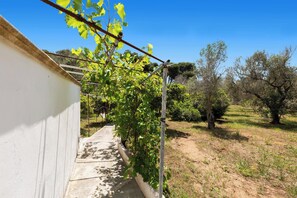Ein Weg, der zu einem Gebäude mit einer Pergola, dicht bewachsen mit Grünpflanzen, führt.