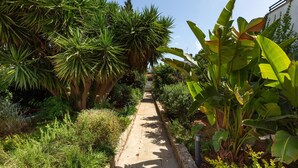 Un sentier bordé d’une végétation luxuriante et de grands bananiers.
